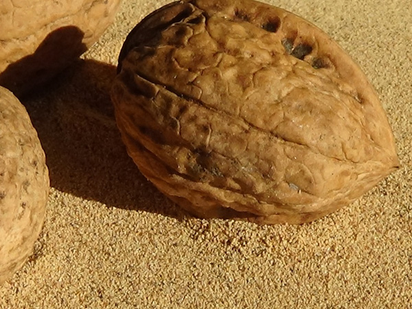 Walnut shell powder skin