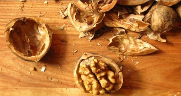 Three Ways to Use Discarded Walnut Shells