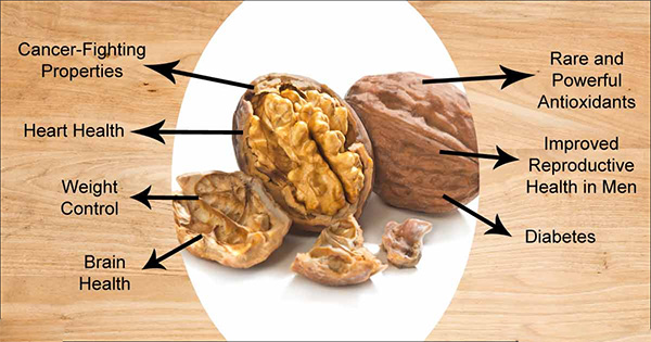 WALNUT KERNEL BENEFITS