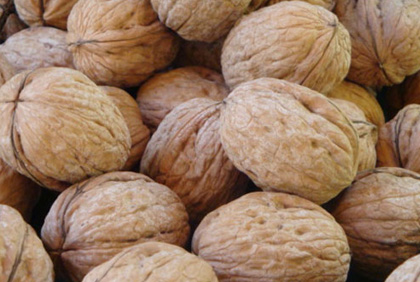 inshell walnuts