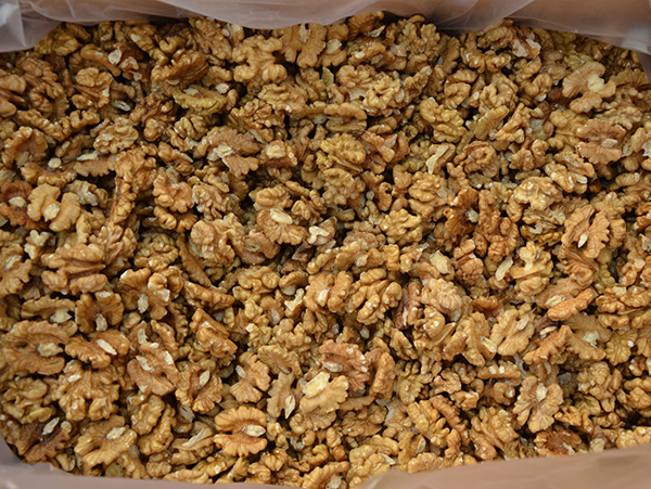 Walnut Kernel